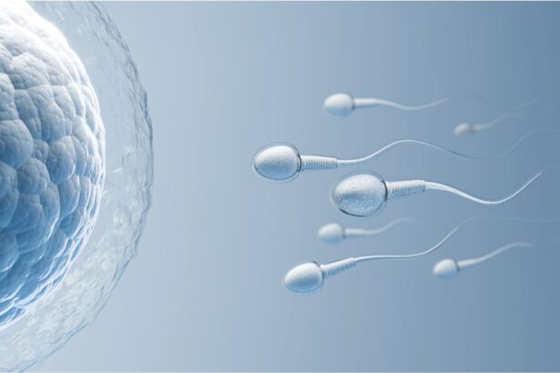 The Role of Sperm Quality in Insemination Success